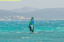 windsurfer